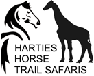 Horseback & Quad Bike Safaris in Hartbeespoort 